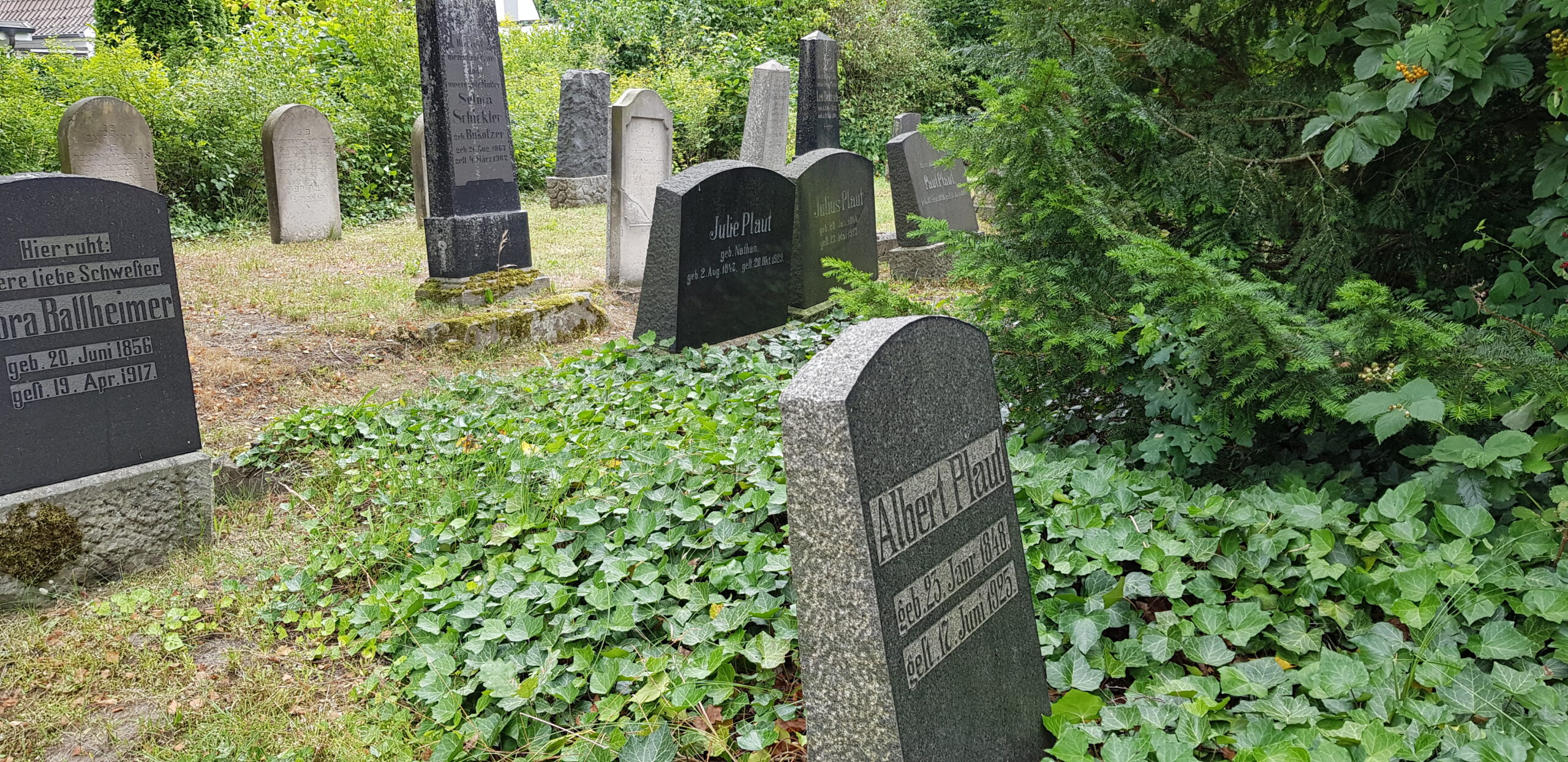 Du betrachtest gerade Jüdischer Friedhof Uelzen