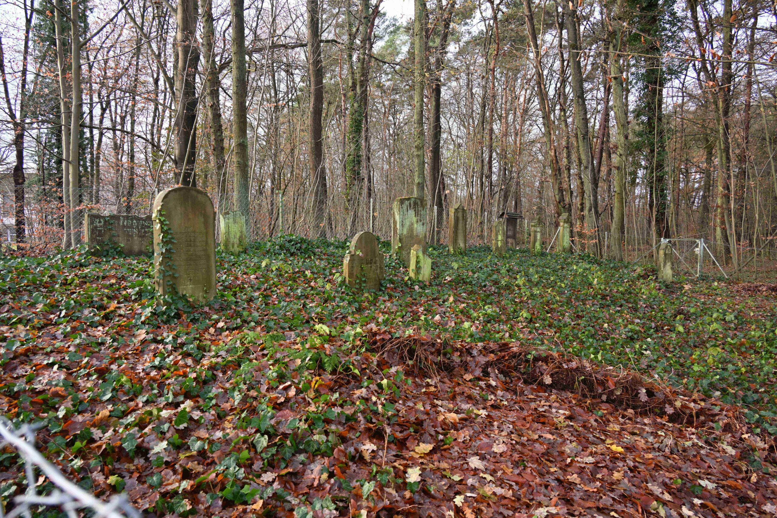 Du betrachtest gerade Jüdischer Friedhof Bad Bodenteich